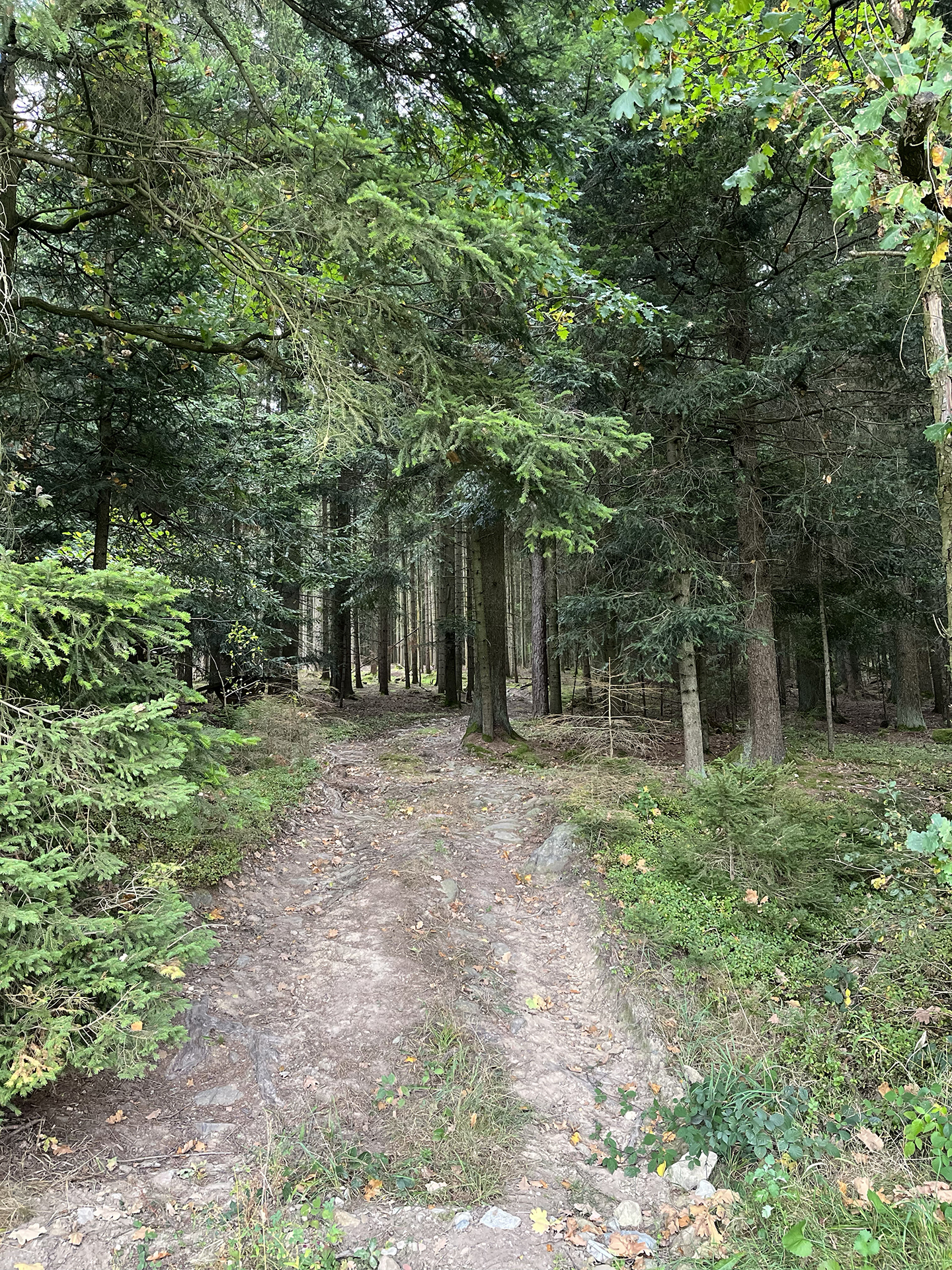 Wanderung Blaibacher See 2023